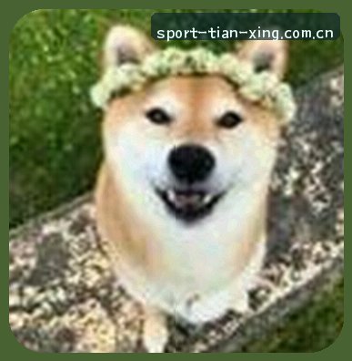 周杰
